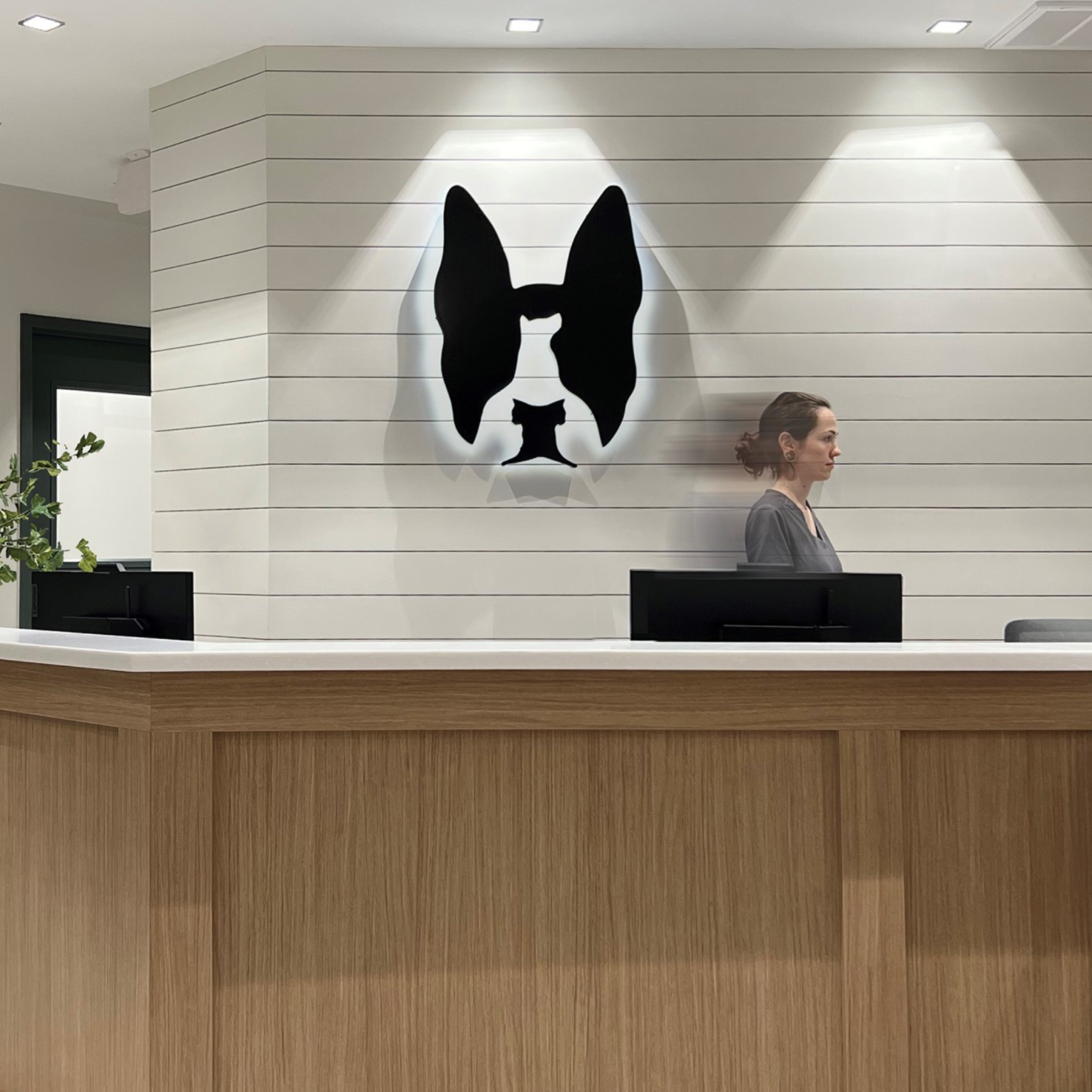 Brookline’s Pelham Hall Boston Veterinary Clinic Pet Care