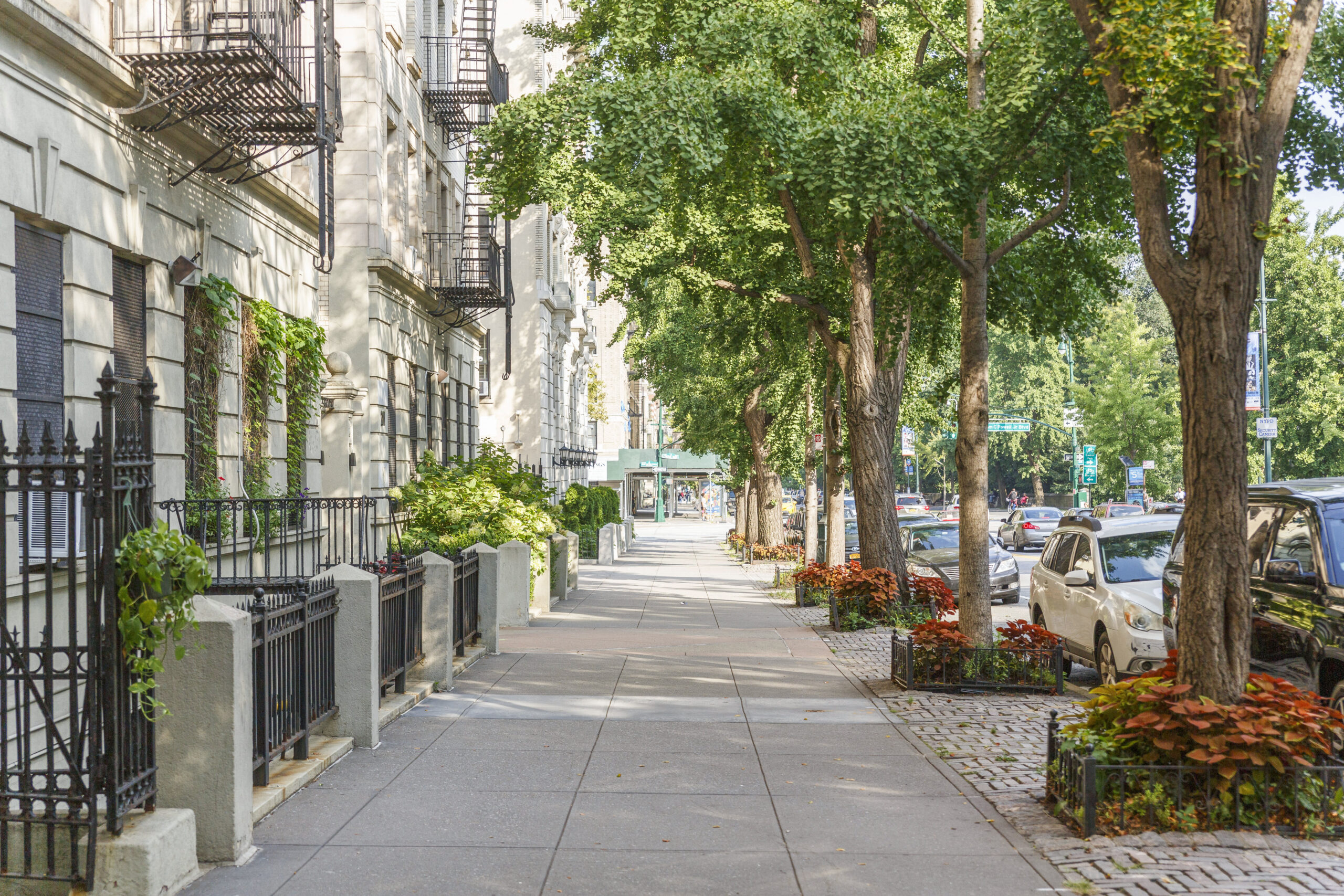 Sidewalk with buildings and trees in New York City.